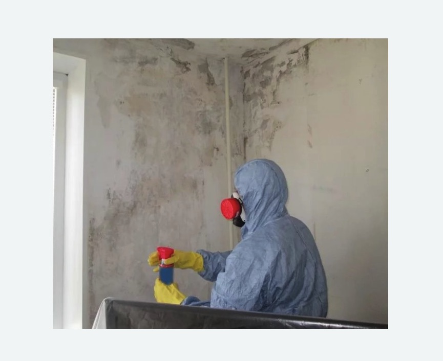 Удаление ПЛЕСЕНИ в Набережных Челнах – Обработка стен от грибка